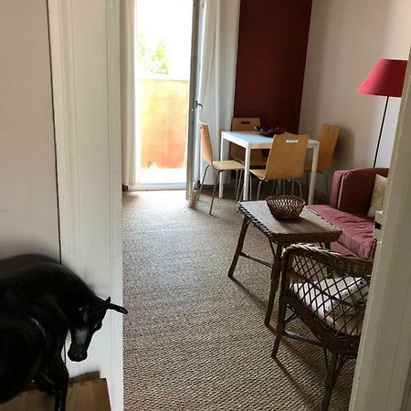 Appartement Hippolyte Montpellier Exteriör bild